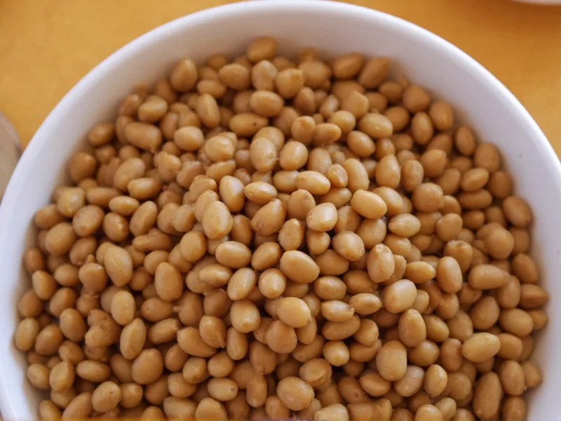 Is Lentil a Bean? Clearing Up the Confusion