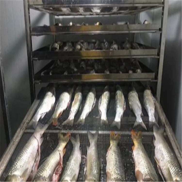 Dry Fish By Hotair Circulation Drying Oven Fish Drying Machine Meat