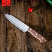 

Professional Stainless Steel Blades Kitchen Japanese Style Santoku Chef Knife