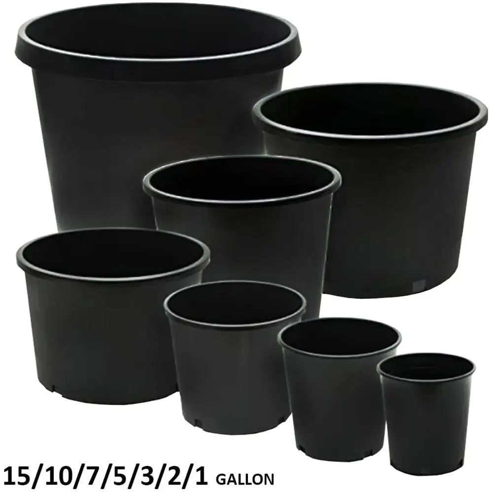 

Wholesale Cheap 1 2 3 5 7 10 15 20 25 Gallon Black Plastic Pot Outdoor Garden Flower Nursery Plant Bonsai Plastic Pot for Sale