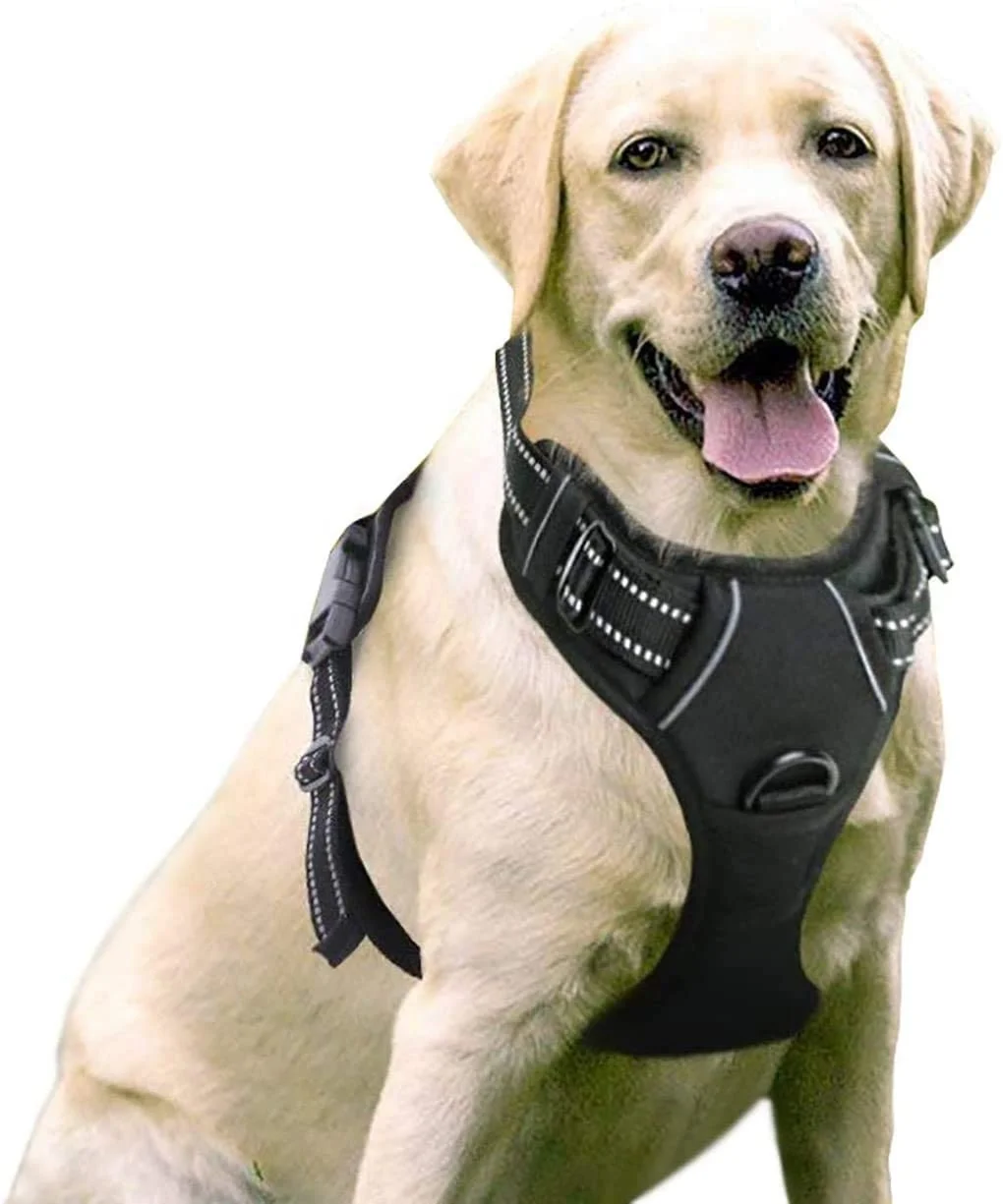

No-Pull Pet Harness with 2 Leash Clips Adjustable Soft Padded Dog Vest Nylon Large Buckle Reversible Dog Harness With Leash, Black