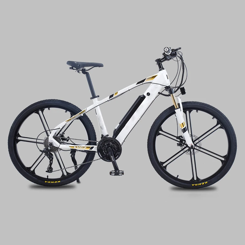 

2021 China City 20 inch Flding e-bike electric bicycle bike 350w for wholesale