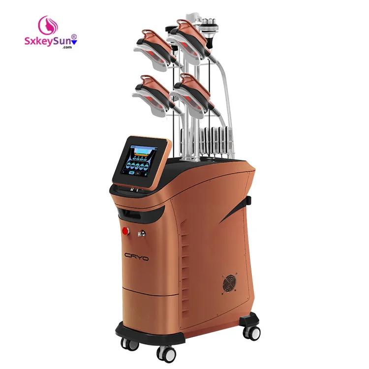 

360 Degree Cryolipolysis Fat Freezeing Cryo Cryotherapy Criolipolisis Cooling With 5 Handles Machine For Weight Loss
