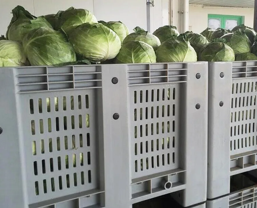 Cheap Vented Fruit Bin Plastic Pallet Bin Shipping Crates Buy Fruit