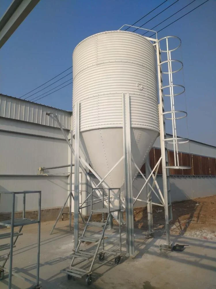 Poultry Drinking Chicken Feeding Line 1kg-20kg Broiler Automatic Feeder