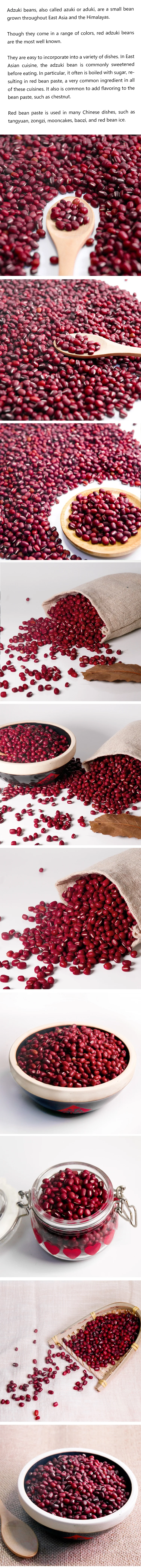 High Quality Wholesale Round Small Red Bean With Competitive Price