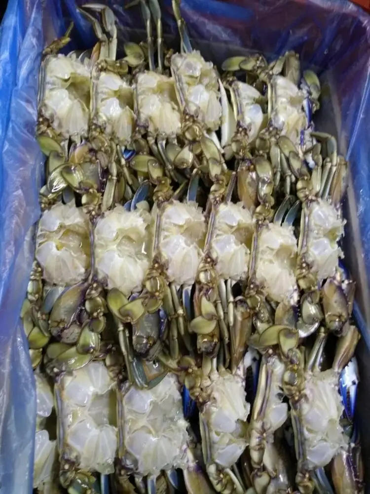 
Factory FROZEN Seafood Swimming Crab Blue Crab 