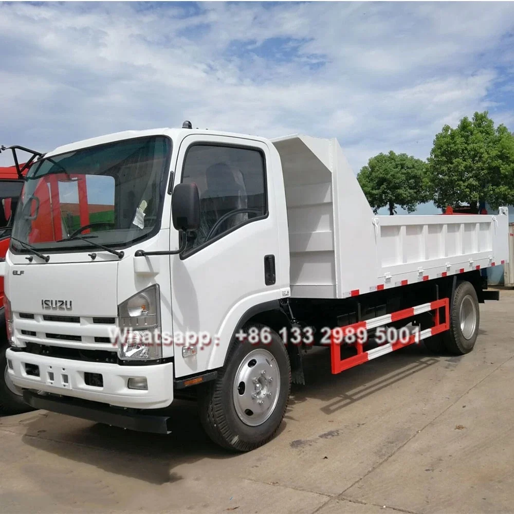 Isuzu-Light-Duty-4X2-Tipper-Dumper-Dump-Truck-Non-Used-Mini-Cargo-Truck.webp (2).jpg