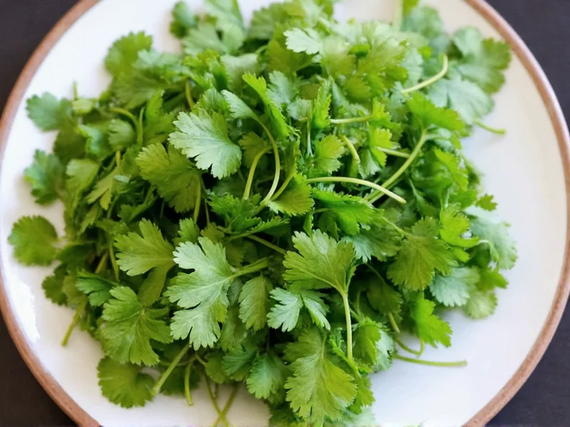 Cilantro vs Coriander: Clearing the Confusion