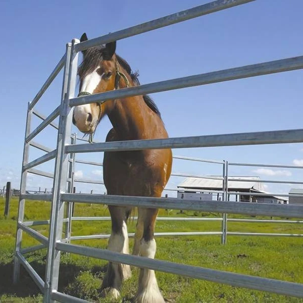 

Inter Locking Galvanized Livestock Fence Panels With Caps Cattle Fence for horse