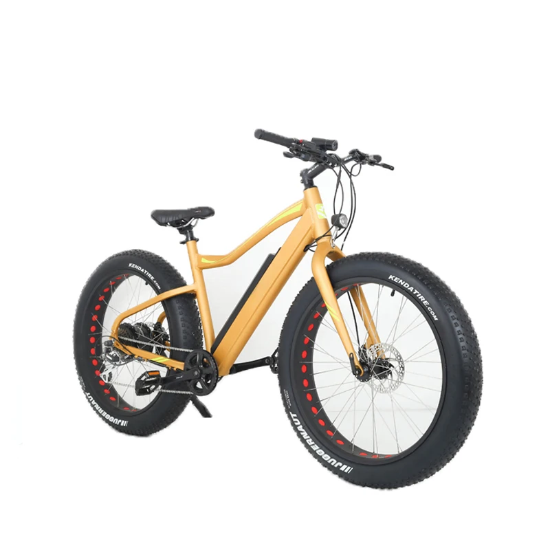 electric bike