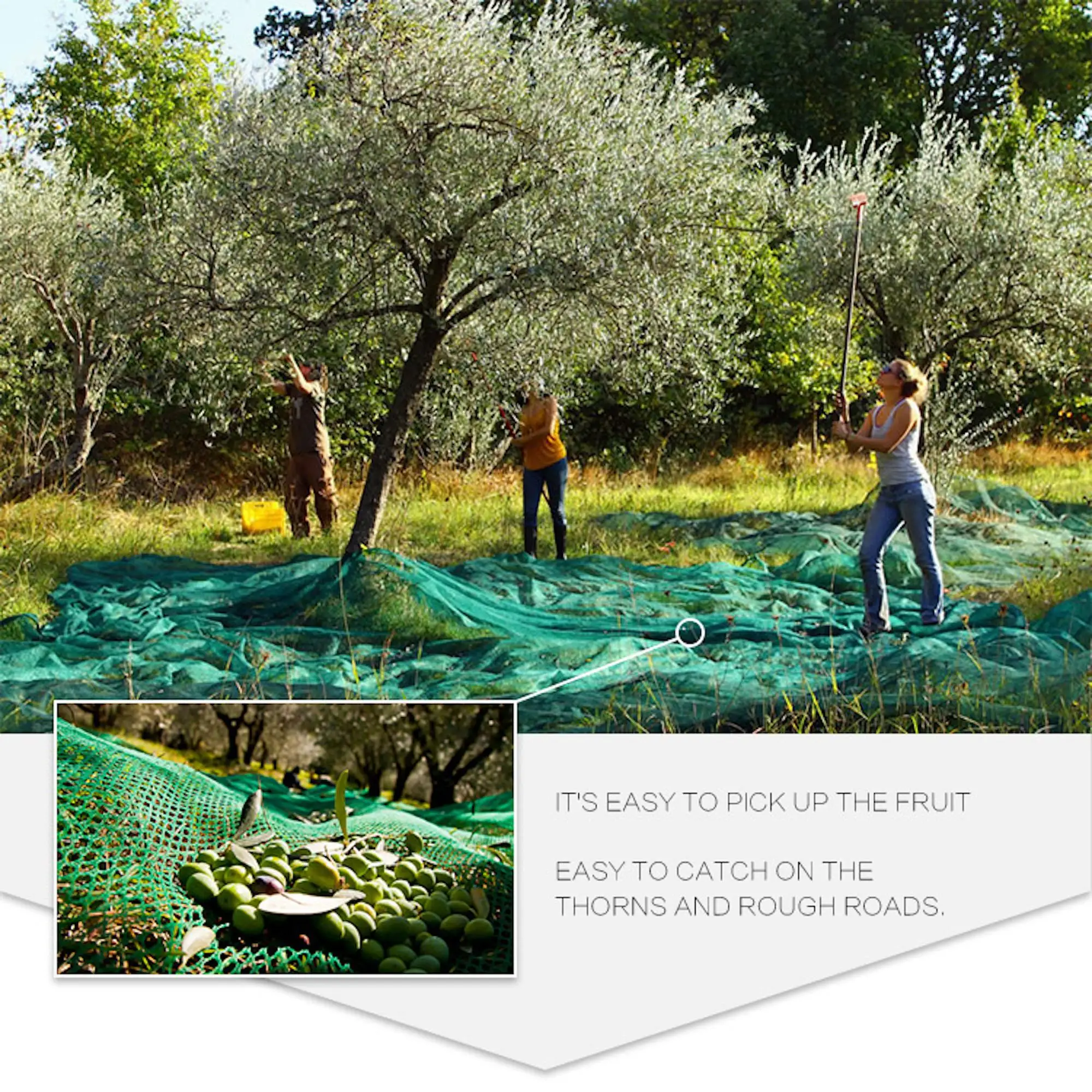 Wholesale Olive Netting 32gsm Olive Tree Net In Turison Falling Fruit