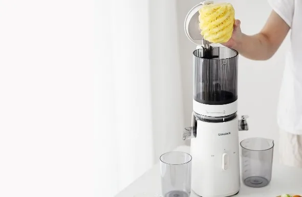  Slow Juicer