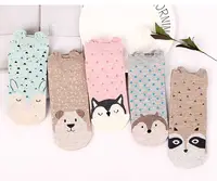 

Hot Sale Cute Cat Fox Animal Full of Stars Short Soft Ankle Socks