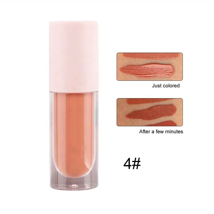 

Multi Colors Custom Private Label Long Lasting Liquid Lipstick Moisturizing Lip Gloss Matte