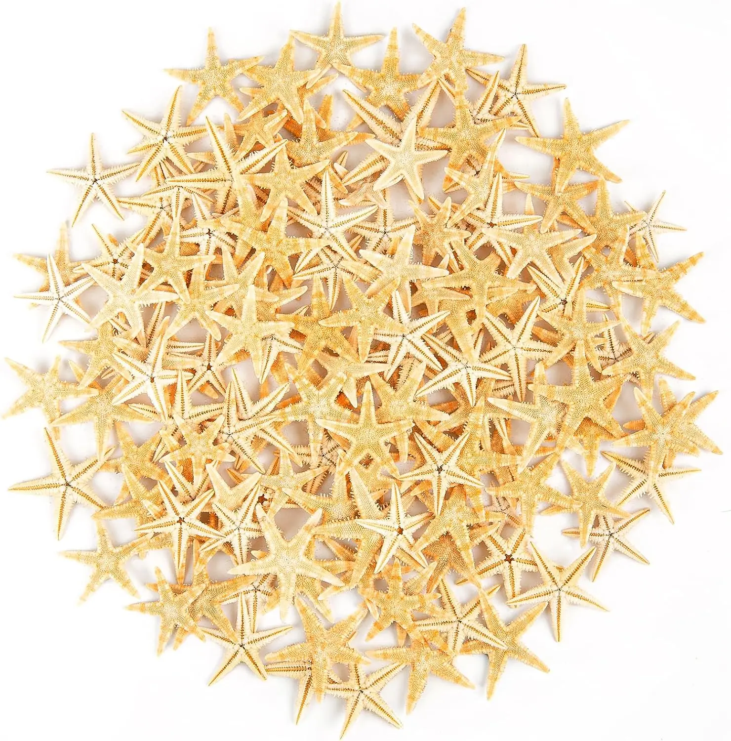200pcs 0.4"-1" Natural Small Starfish for DIY Crafts Wedding Beach Decor