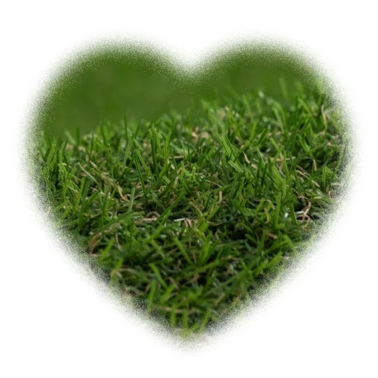 

Cheap artificial pet grass 30MM grass lawn carpet hot sale artificial grass