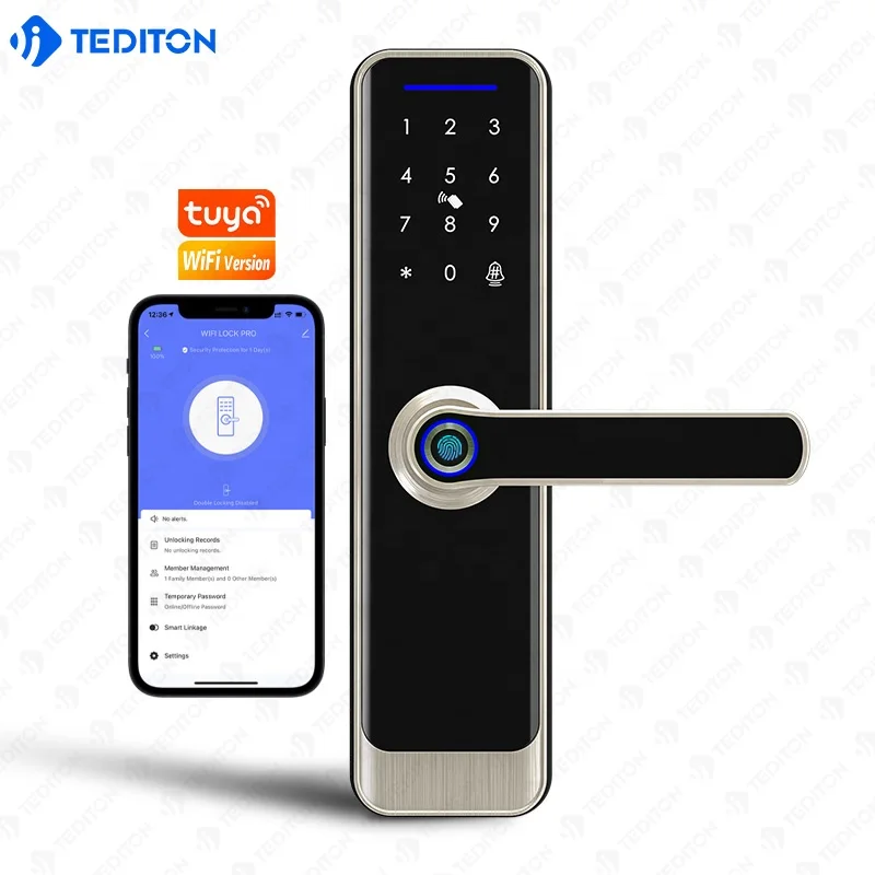

Factory Manufacturer Price remote control Tuya Door Lock With Automatic Electronic Korean Moritse