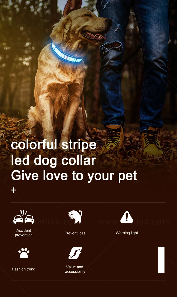 Rainbow Stripe Flashing Dog Collar Led Para Perro for Dog Safety in Dark USB Charging Pet Supply Dog Collar Led