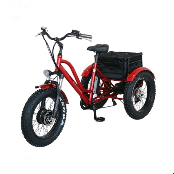 

3 Wheel E-bike Fat Tire Ebike Tricycle Three-Wheel Battery E Bike Three Wheeler Electric Transport Bicycle for Adult