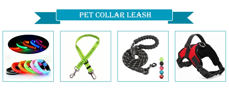 Pet-Collar-Leash.jpg