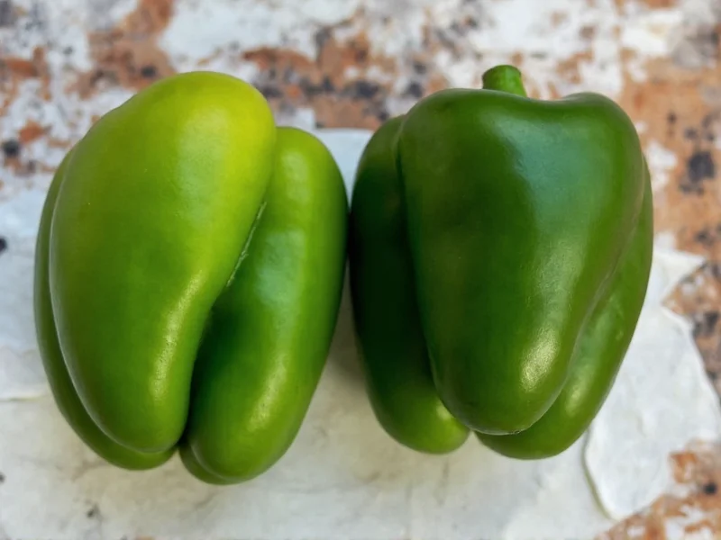 Poblano vs Pasilla Peppers: Clear Differences Explained