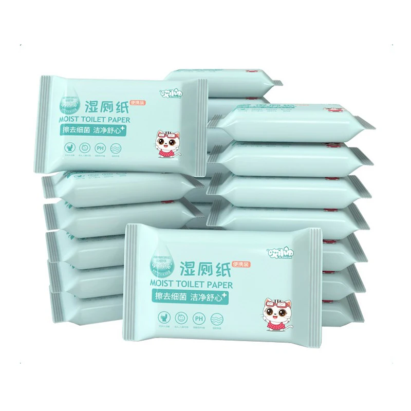 

New Product Sanitary Wipes 10pcs Packed Flushable Wet Toilet Tissues For Adults And Babies