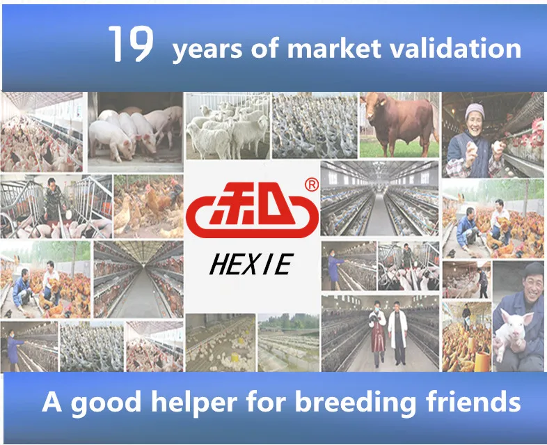 
Vitamin b1 b6 b12 injection b2 hexie Doxycycline HCL and Colistin sulphate powder 