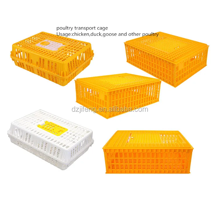 High Quality Plastic Poultry Cage For Chicken Buy Plastic Chicken