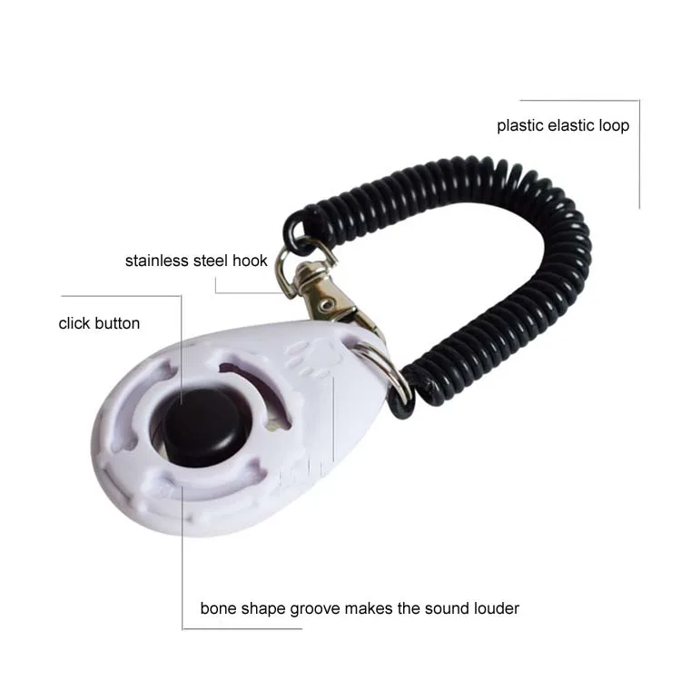 13143871503_1233581155 .jpg