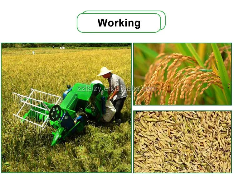 large output capacity portable engine mannual combine rice mini harvester