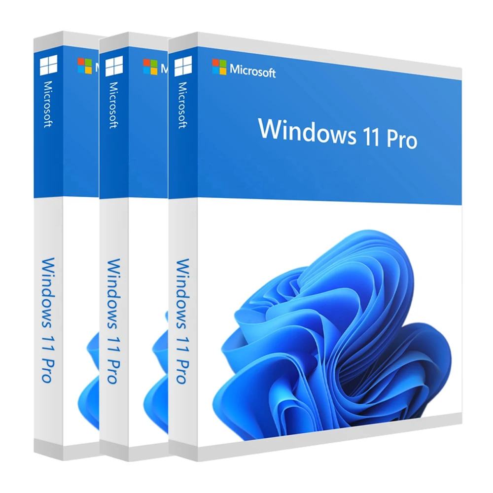 

Win 11 Professional License By Email Fast Delivery Oem Digital Key Win 11 Pro Key