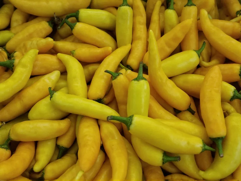 Mild Peppers: Types, Uses, and Benefits Explained