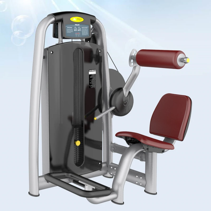

Lower Back Commercial Gym Equipment Club Machine New Design Fitness Gym Equipment Popular Commercial Exercise Machine, Gray/yellow/white/red/powder black