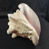 fashion Shell handicraft jewelry is made of natural shell by hand