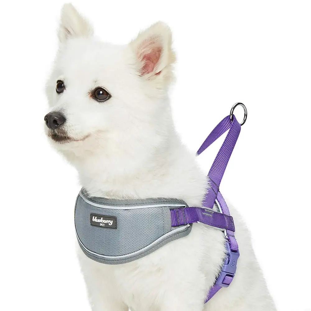 

2022 Manufacturers Free Sample Hot Sale neoprene Pet Harness Reversible Dog Harness design Custom Adjustable Dog Harness, Picture