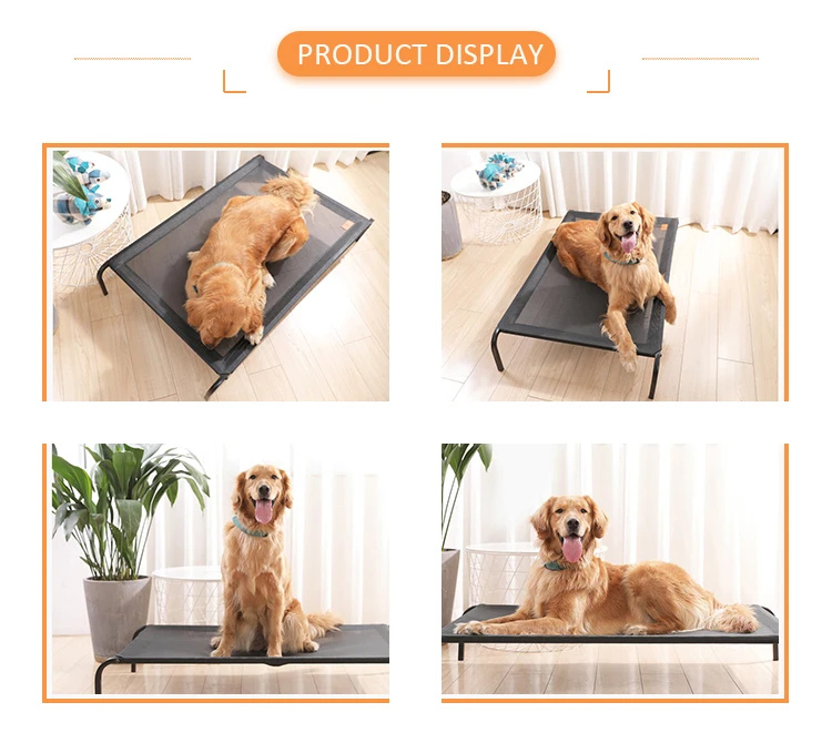 Removable Outdoor Folding Dog Bed Elevated Pet Bed With Metal Frame