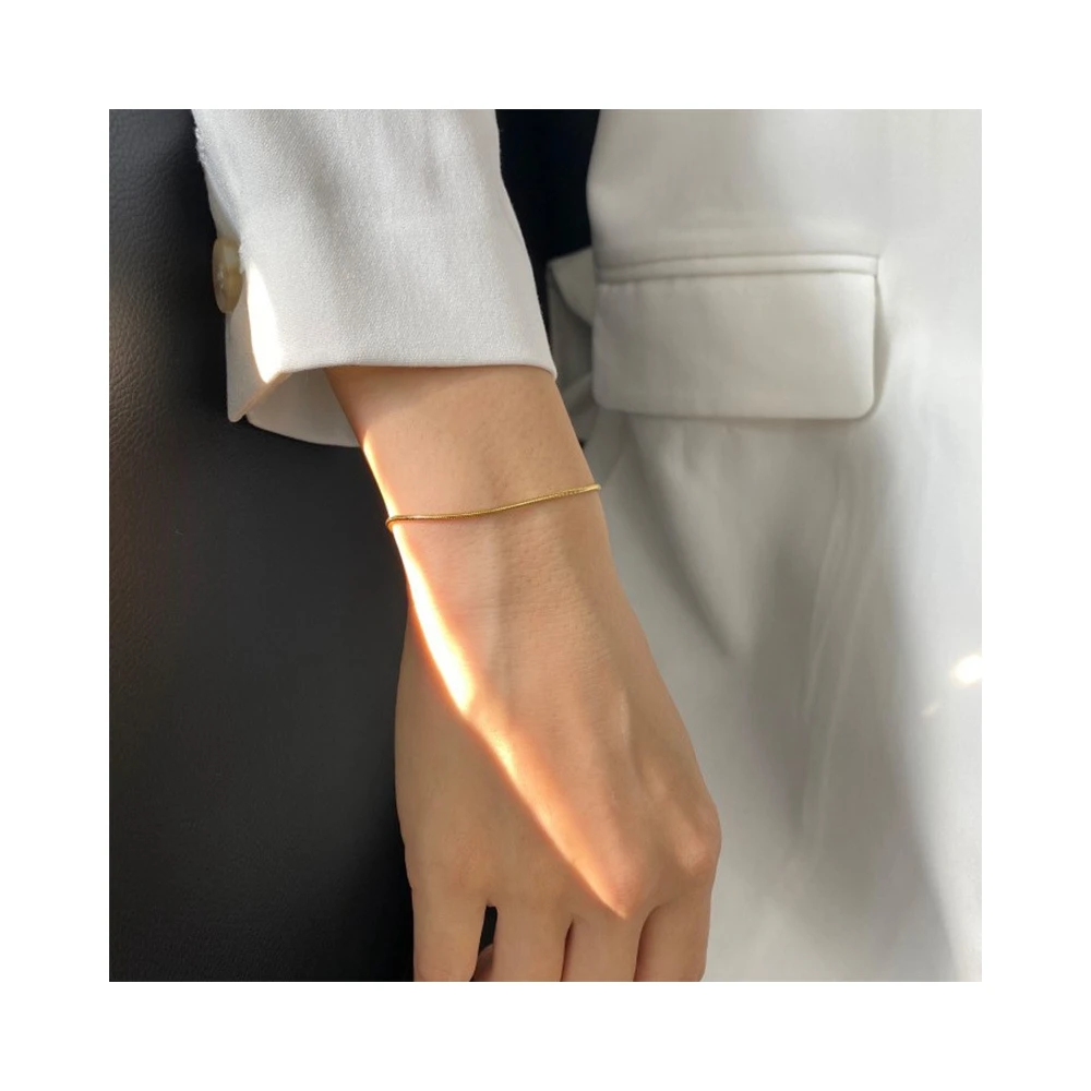 

Punk Hip Hop Stainless Steel Snake Ladies Simple Design Trendy Light Luxury Clavicle Chain Bracelets, As the picture shows