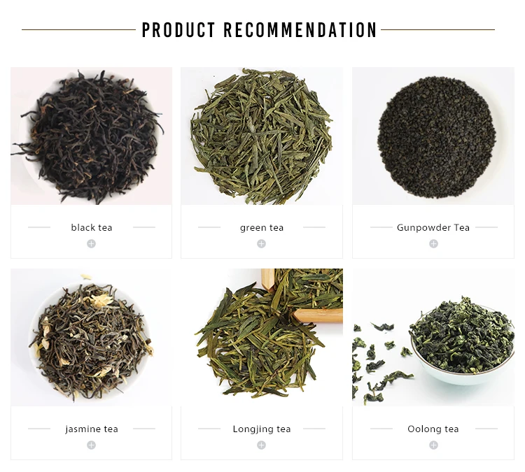 Factory Direct Sale Prices high quality Chunmee Green Tea 41022 - 4uTea | 4uTea.com