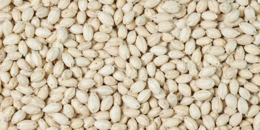 Different types of white seeds arranged neatly