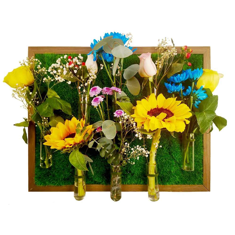 

Wall garden plant propagation station with green wall panel for home decoration, Pictures shown