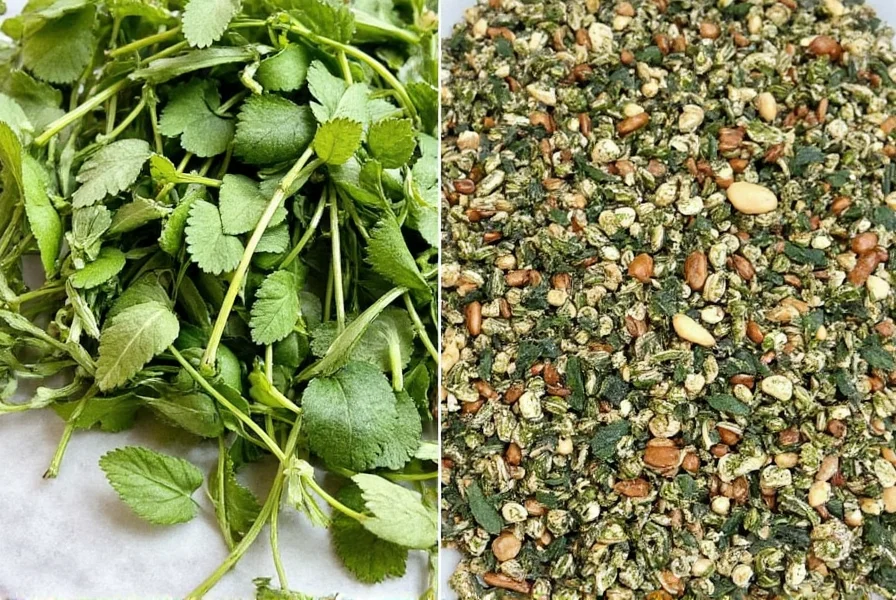 Fresh Basil vs Dried Oregano
