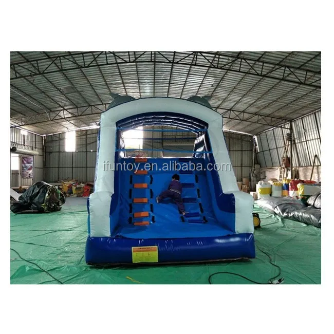 Dolphin Inflatable Swimming Pool Slide / Water Slide For Inground Pool