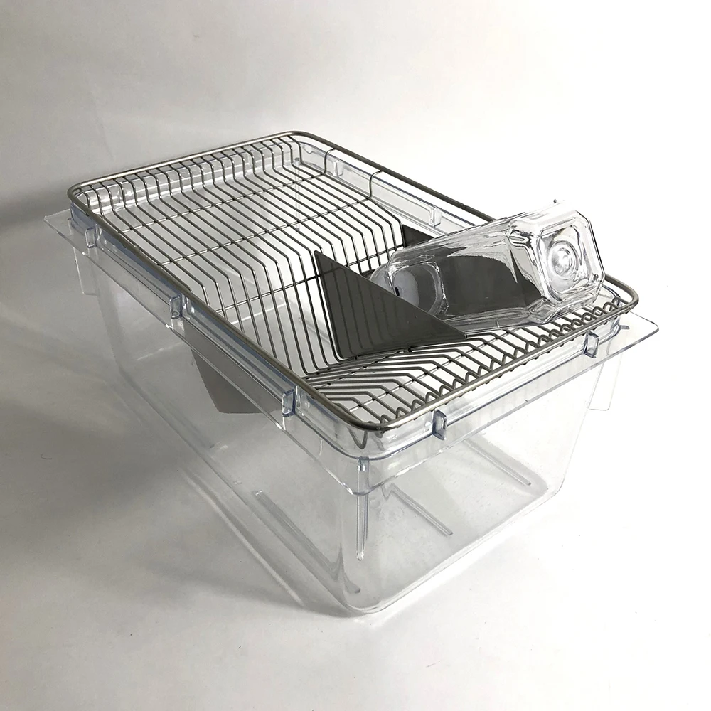 Breeding Lab Animal Transparent Cages For Rat & Mice Buy Laboratory