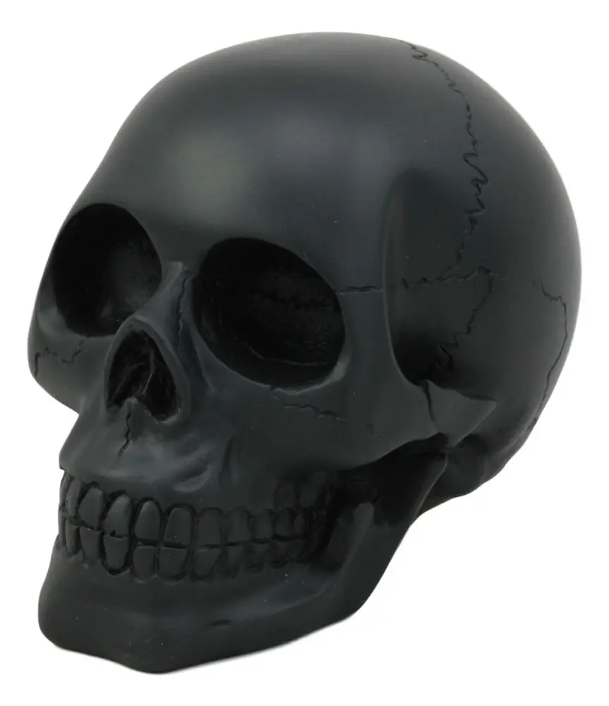 s-l1000.jpg