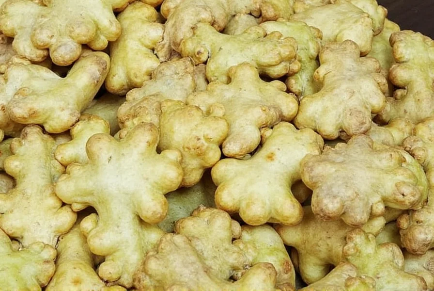 dandys world ginger