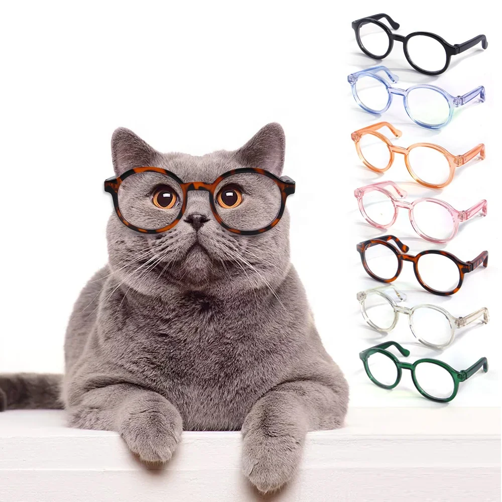 

High Quality Fashion Modern Design Plastic Pet Accessories Solid Pet Glasses For Cat