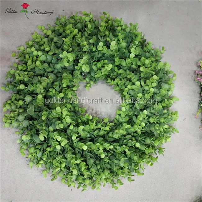 Eucalyptus04.jpg