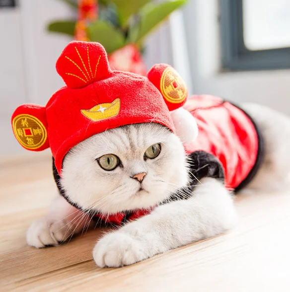 

Multi-style Cute Cat hats Pet Accessories Cat Collar for cat