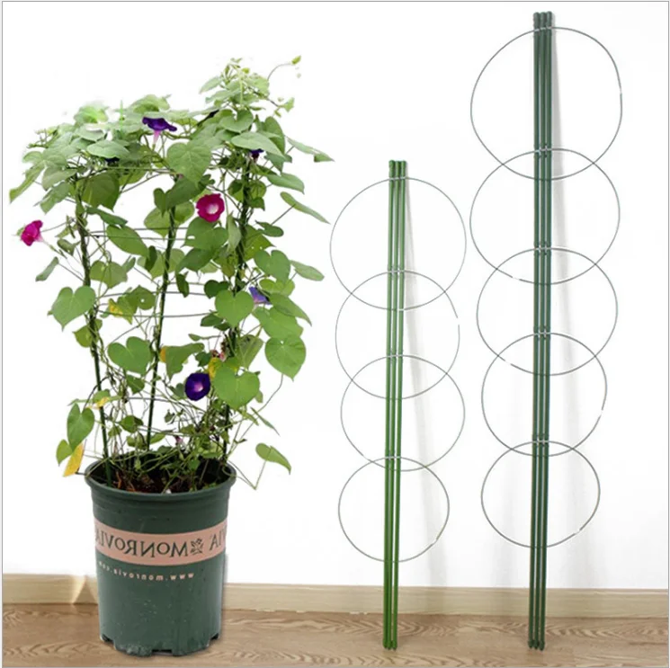 

Green Iron Ring Prop Potted Solid Vine Gardening Coated Flower Holder Outdoor Plastic Plant Support Climbing Frame